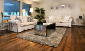 Home staging of a living room at Edgewater, Maryland