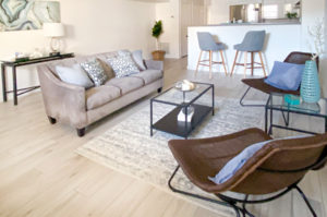 Home staging condo at Washington DC living room